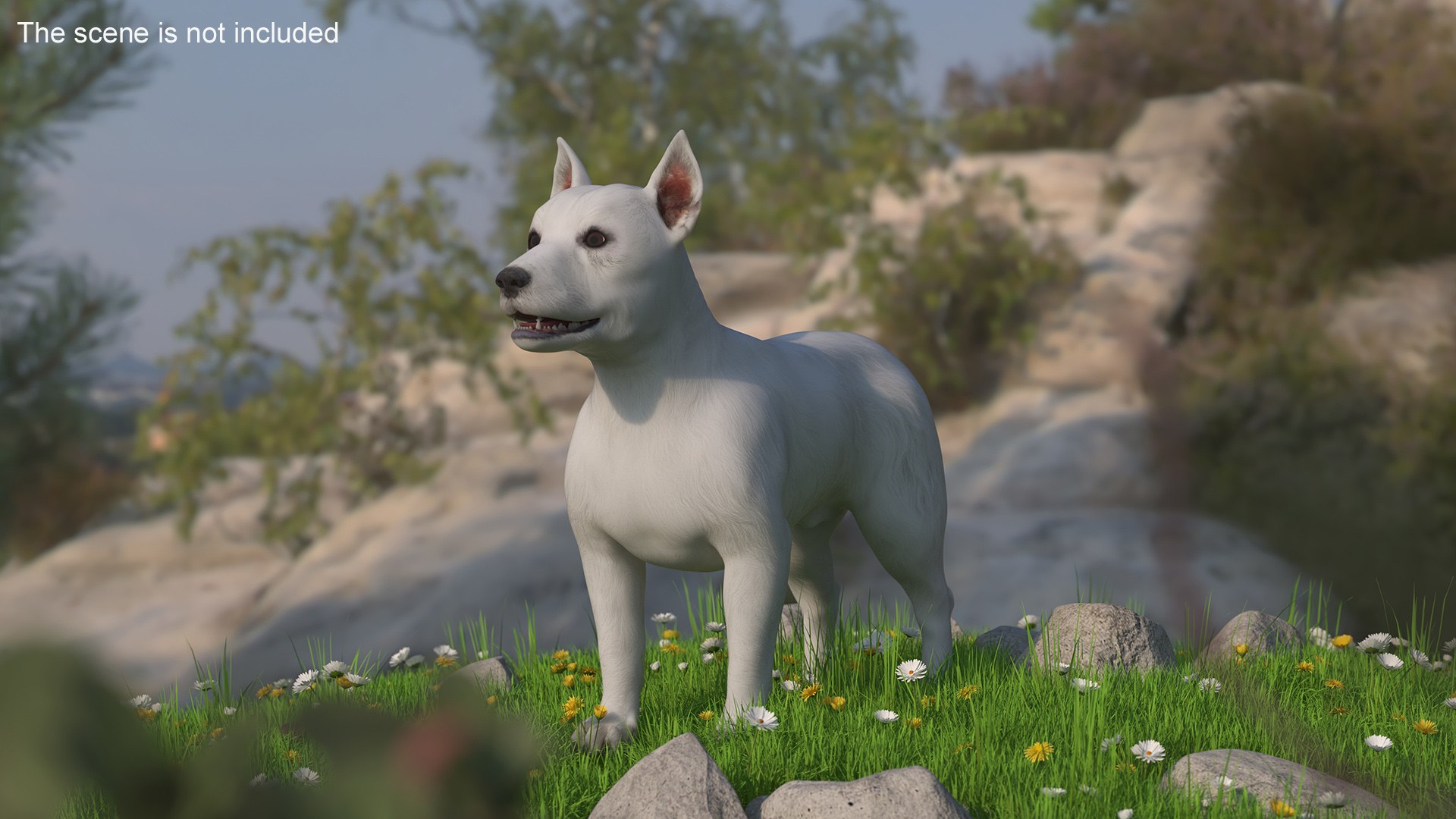 3D West Highland White Terrier Rigged model https://p.turbosquid.com/ts-thumb/SE/jn7klU/yD/west_highland_white_terrier_rigged_005/jpg/1748634026/1920x1080/fit_q87/dba42dc9990834411f47b8f8994d338a5b986ee3/west_highland_white_terrier_rigged_005.jpg