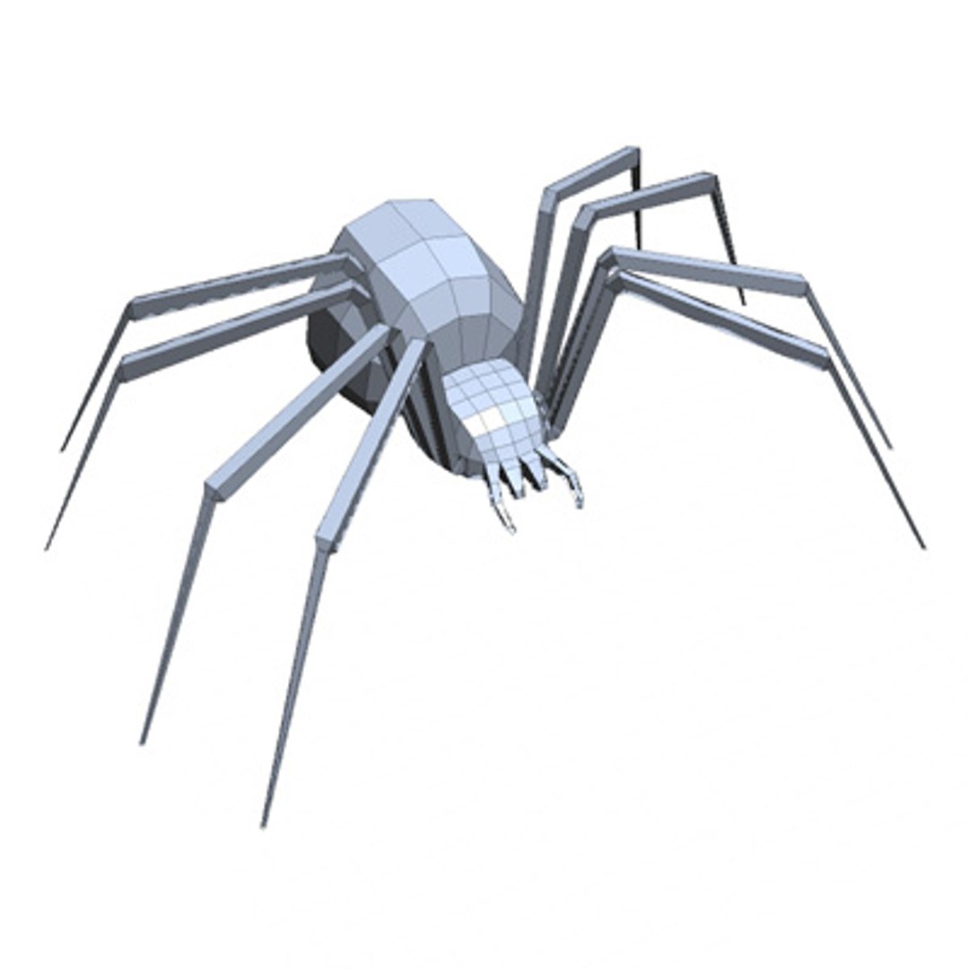 Maya Spider Arachnids