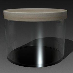 maya container terrarium aquarium