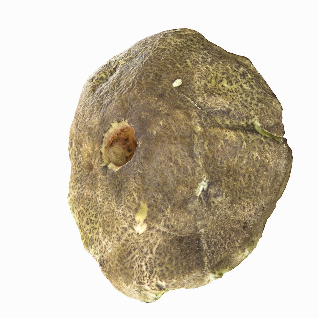 realistic 3d model