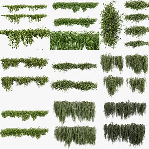 3D Creeper Ivy Plant Collection 22 High-Quality Models for 3ds Max