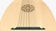 Stringed Instruments Collection 5