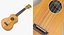 Stringed Instruments Collection 5