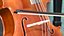 Stringed Instruments Collection 5