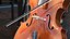 Stringed Instruments Collection 5