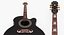 Stringed Instruments Collection 5