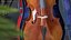 Stringed Instruments Collection 5