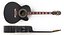 Stringed Instruments Collection 5