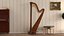 Stringed Instruments Collection 5