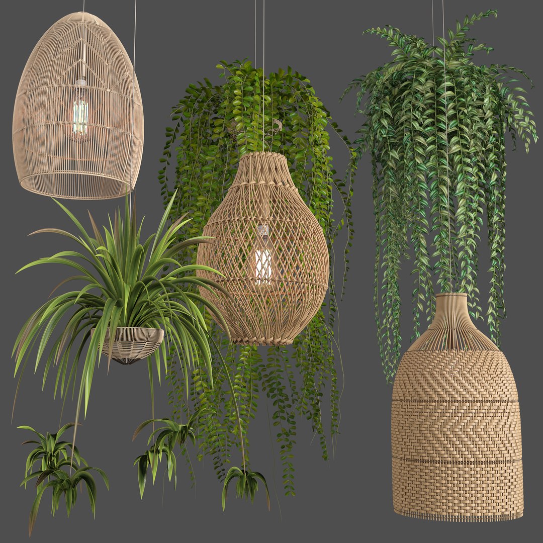 3D Rattan Lights With Plants - TurboSquid 1870159