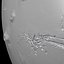 Mars 3D Globe 2