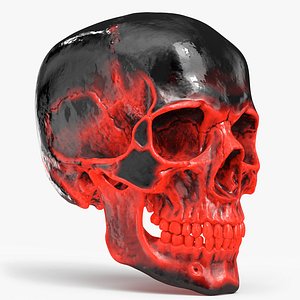 3D Human Skull Sci-fi Hot
