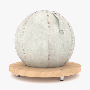 Paragon Studio Luxury Gym Equipment Exercise Ball Holder