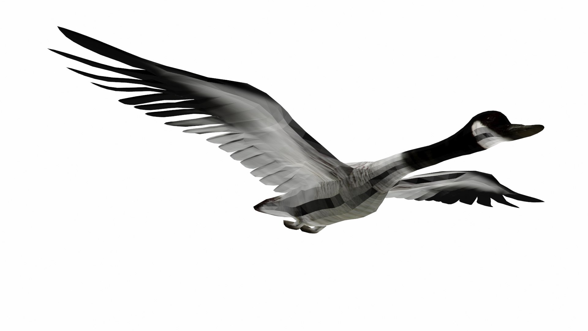 goosecan bird 3D model https://p.turbosquid.com/ts-thumb/SF/dc2evk/7l/p5/jpg/1609585008/1920x1080/fit_q87/501c9298ab264d35cc4ffc69476cff53fe2b89ed/p5.jpg
