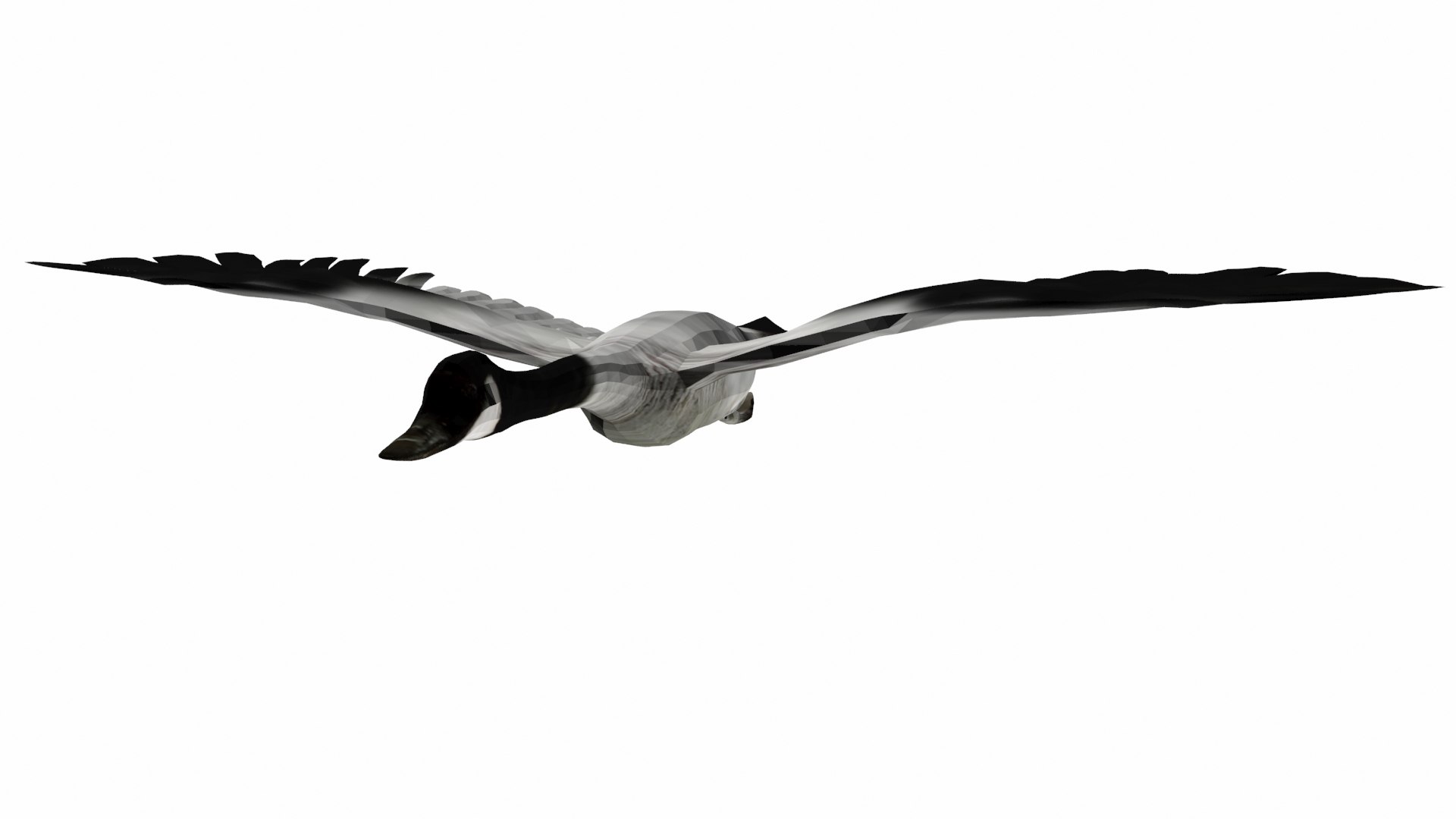 goosecan bird 3D model https://p.turbosquid.com/ts-thumb/SF/dc2evk/Zp/p2/jpg/1609585008/1920x1080/fit_q87/a2a9827762c00dcf72e00f4d153bfcccccc16e26/p2.jpg
