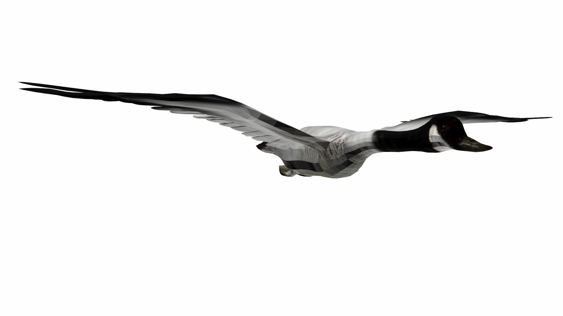 goosecan bird 3D model https://p.turbosquid.com/ts-thumb/SF/dc2evk/eZ/p4/jpg/1609585009/1920x1080/fit_q87/0c1fbc0afb8d672838d64f6228701024d0839206/p4.jpg