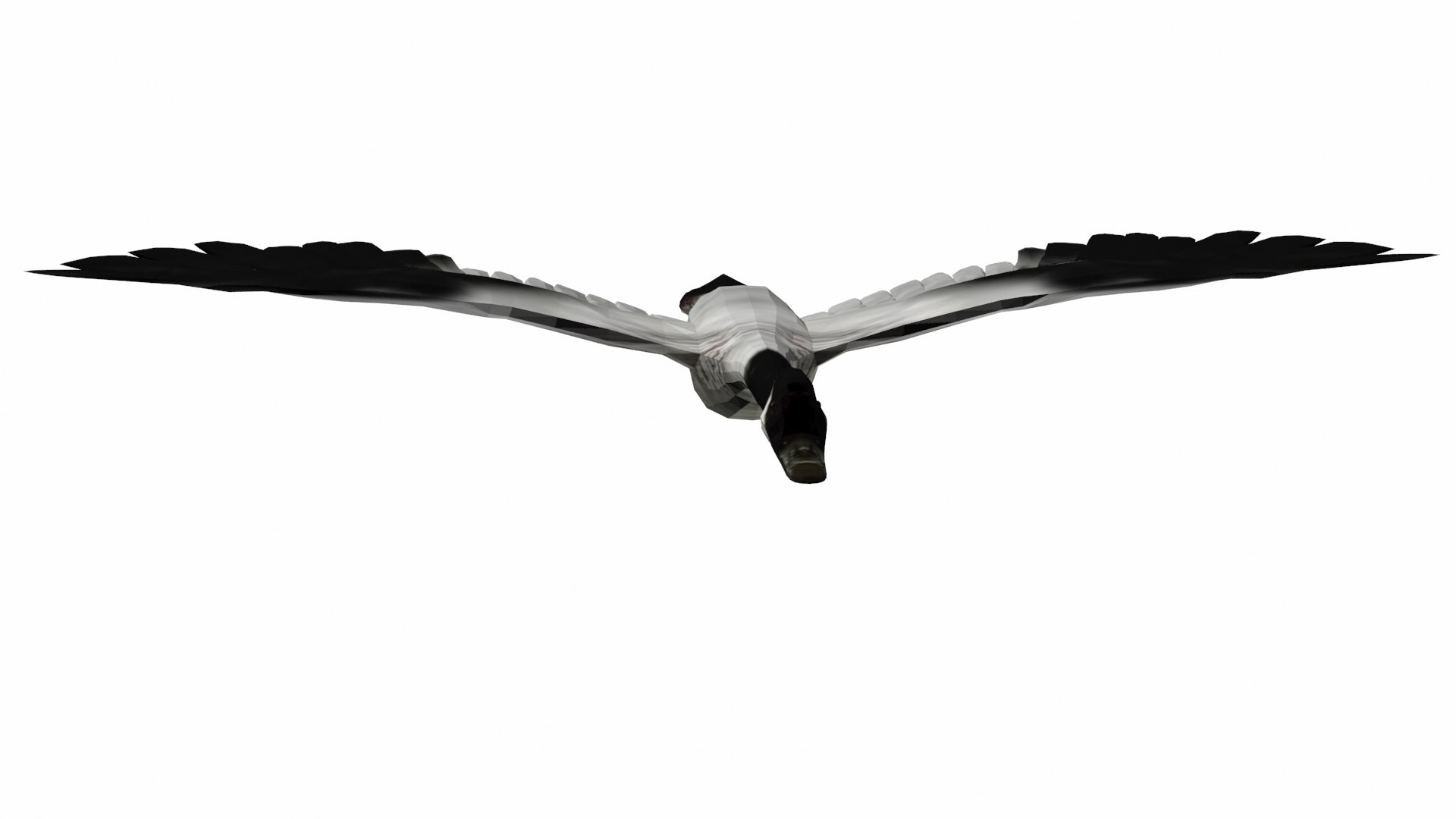 goosecan bird 3D model https://p.turbosquid.com/ts-thumb/SF/dc2evk/g3/p3/jpg/1609585009/1920x1080/fit_q87/edd6b6a0c42b881c0b239b54e2d4bd9090c047a4/p3.jpg