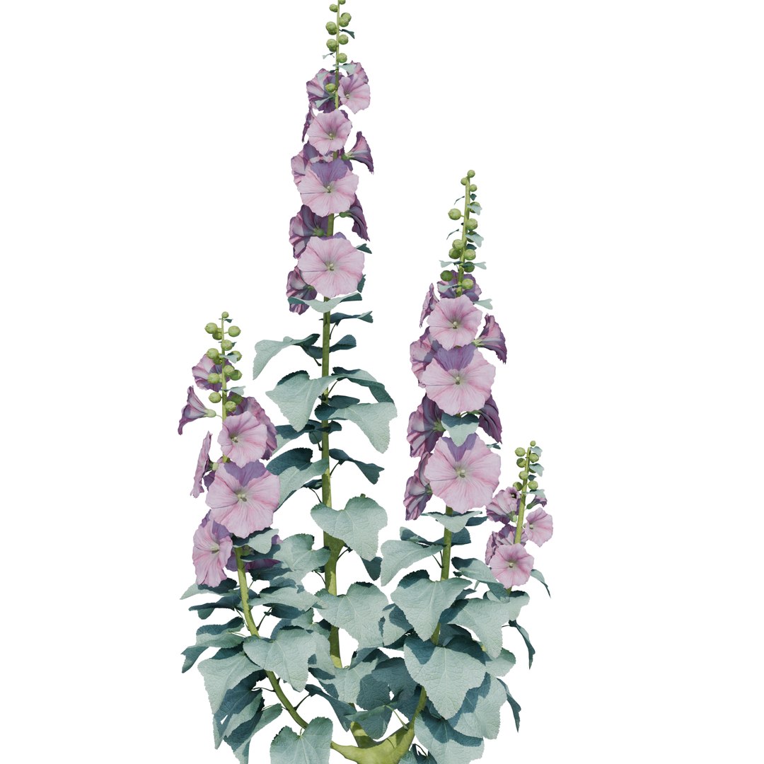 Garden Flowers 3D https://p.turbosquid.com/ts-thumb/SF/hRJAdy/UJ/1/png/1789252200/1920x1080/fit_q87/78e2228879ca4810e2a36f25b319ac05f3cb69c6/1.jpg