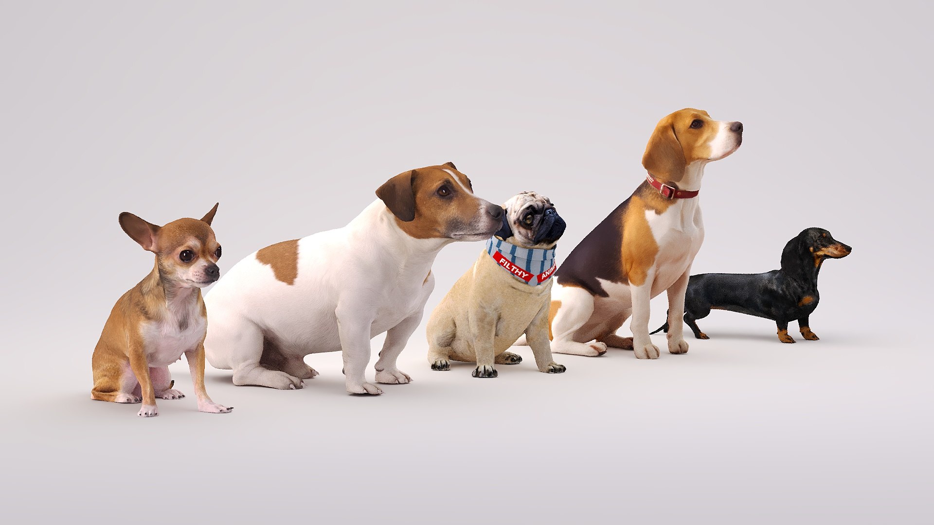 3D Small dog set x5 https://p.turbosquid.com/ts-thumb/SF/k9ZvRQ/T7/1/jpg/1740717105/1920x1080/fit_q87/125112045a078634fdbce941c7080fb9b58ef967/1.jpg