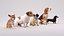 3D Small dog set x5