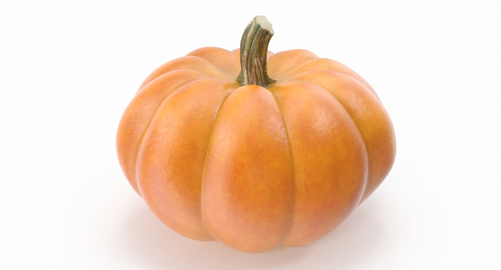 max halloween pumpkin photorealistic https://p.turbosquid.com/ts-thumb/SF/l1dfC8/DnsU8g4a/pumpkin_2/jpg/1477157631/1920x1080/turn_fit_q99/44775562749824a325ae79d4ce62a6cdf7f89010/pumpkin_2-1.jpg
