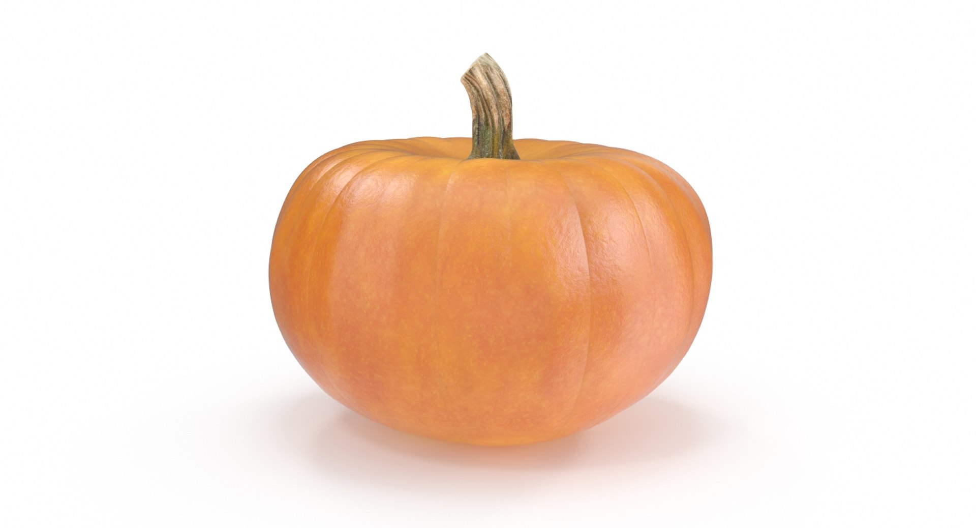 max halloween pumpkin photorealistic https://p.turbosquid.com/ts-thumb/SF/l1dfC8/bU1tMa6V/pumpkin_4/jpg/1477157563/1920x1080/fit_q87/d67d7c06345196a5ec1d58b570655d4f958d1493/pumpkin_4.jpg