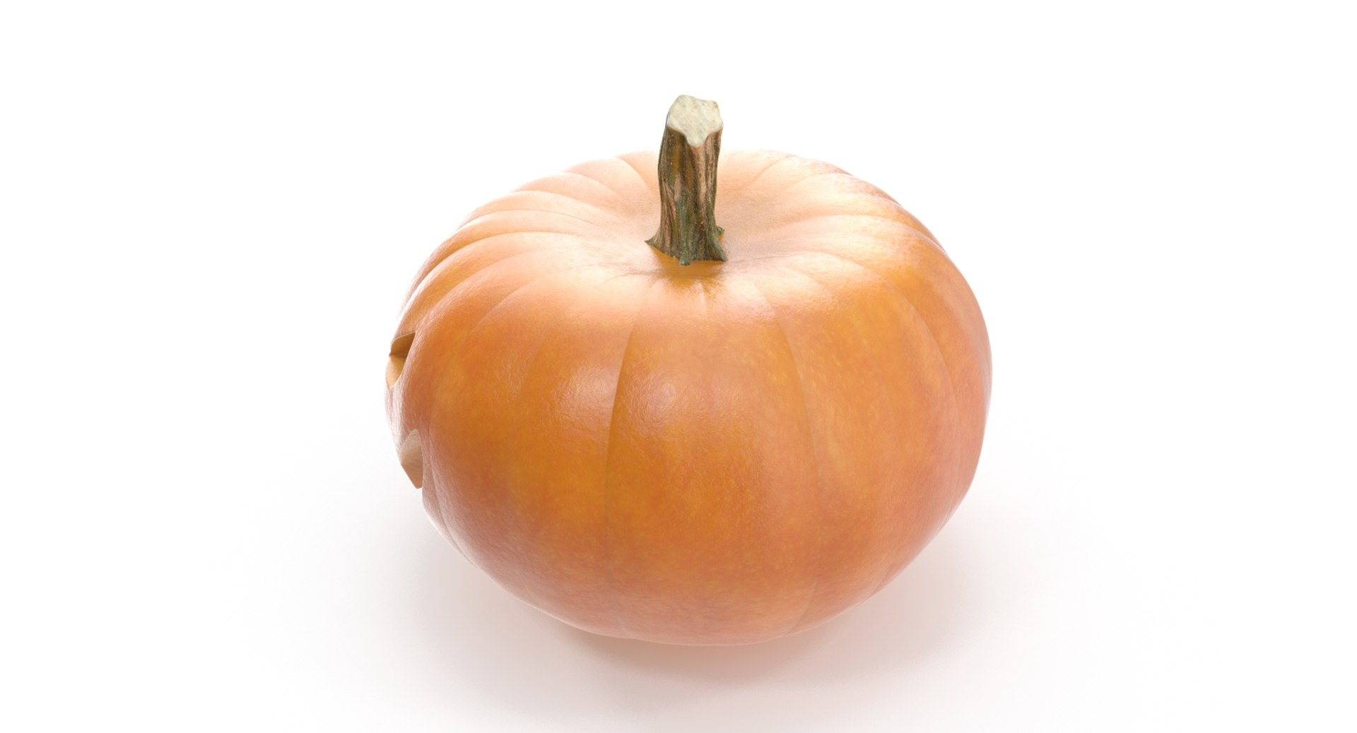 max halloween pumpkin photorealistic https://p.turbosquid.com/ts-thumb/SF/l1dfC8/e7AzD5OI/pumpkin_5/jpg/1477157563/1920x1080/fit_q87/2062e4ea43a24b827955ee9053ece8e5bca86c86/pumpkin_5.jpg