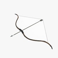 Cold weapons long-range weapons bows and arrows