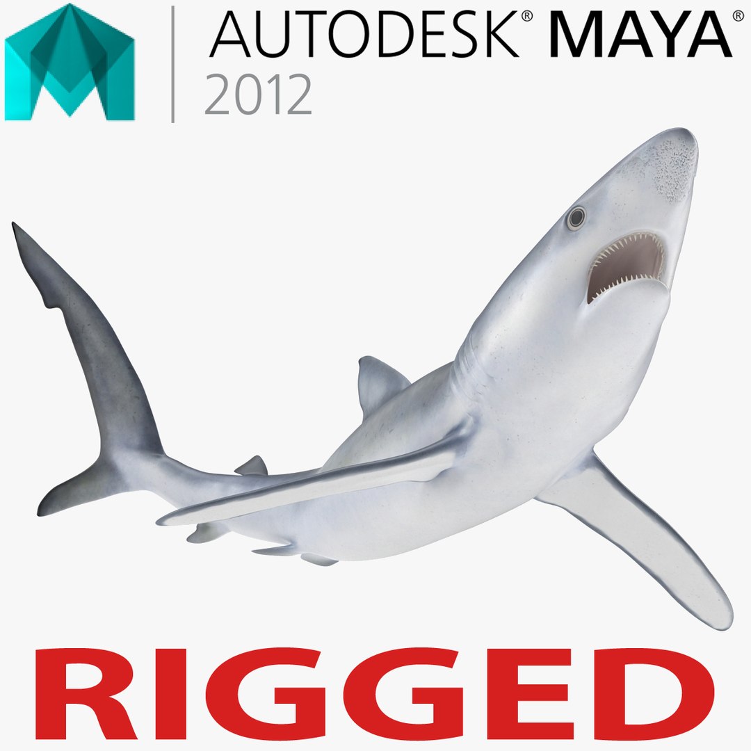 Blue Shark Rigged for Maya 3D Model preview