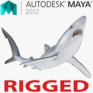 3d model blue shark rigged