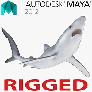 Blue Shark Rigged for Maya 3D Model