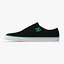 Chaussures DC - Flash TX (Noir-Turquoise)