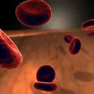 Blood Cells