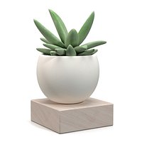 Mini Decorative Fake Succulent Artificial Plants PBR