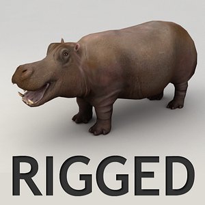 hippo rigged max