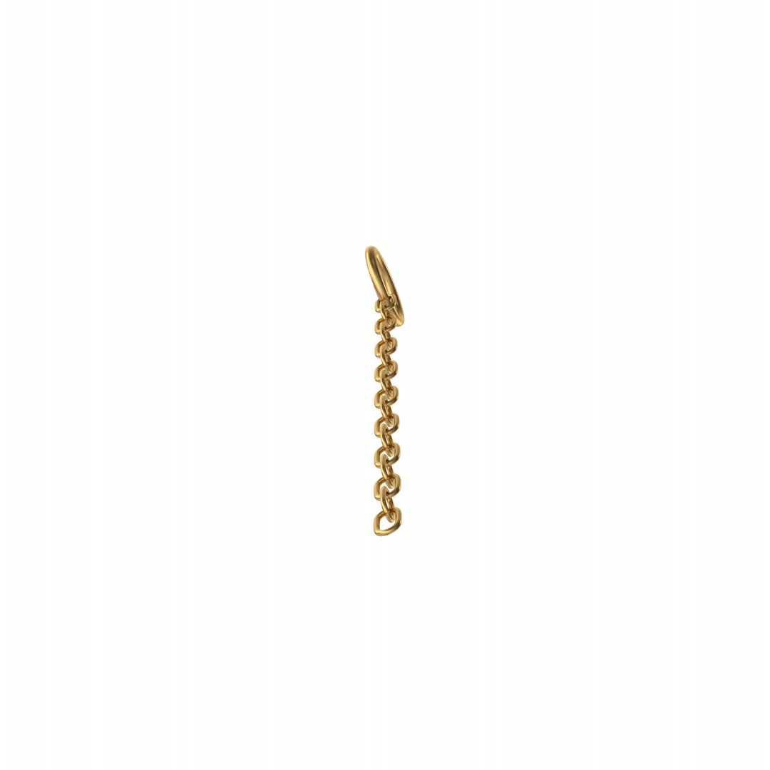 3D Model Gold Hanging Chain - TurboSquid 2000405