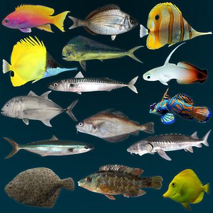3ds max marine fish anthias bream
