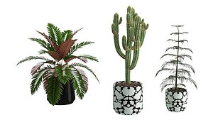 Plants Collection 010 3D model