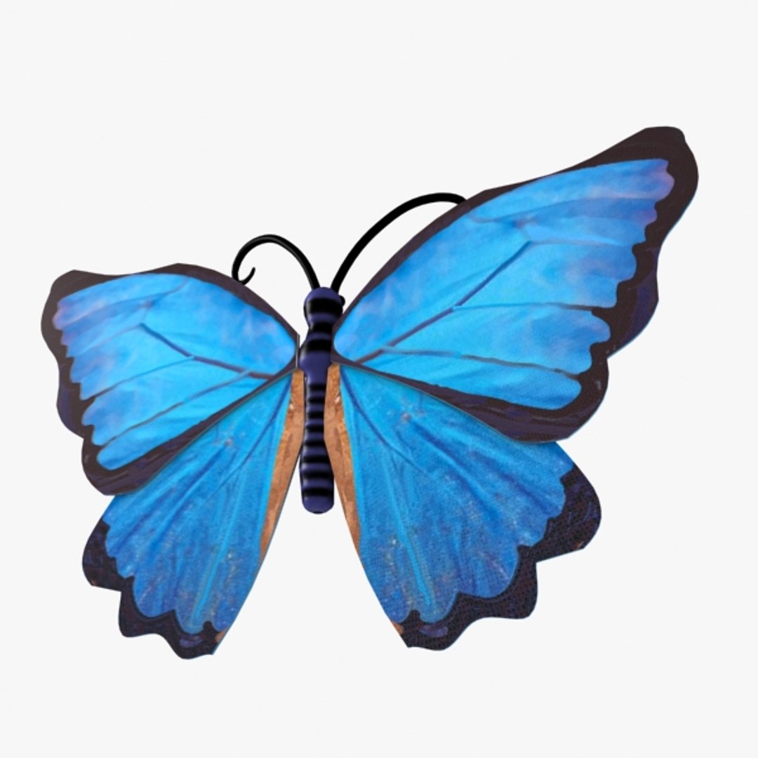 3d butterfly blue fly https://p.turbosquid.com/ts-thumb/SG/PPBee2/6zdmPKfq/4/jpg/1363020908/1920x1080/fit_q87/579f5b8e5a6fd3c2d138564a42c027e147d08c8d/4.jpg