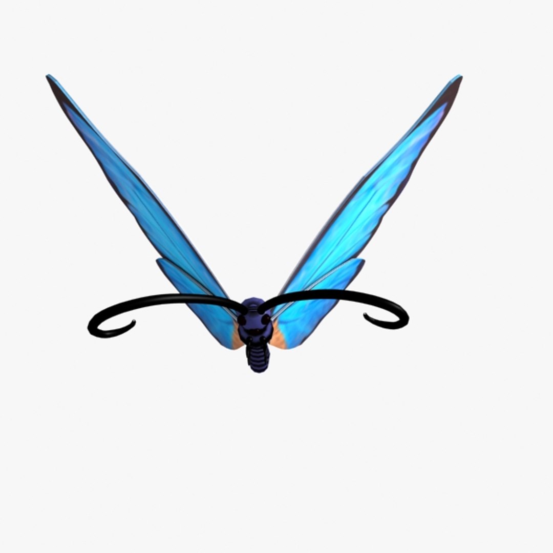 3d butterfly blue fly https://p.turbosquid.com/ts-thumb/SG/PPBee2/E3JA7818/5/jpg/1363020908/1920x1080/fit_q87/ce8755f58b5233962fb36b9b0d82964fc354e1ff/5.jpg