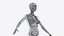 3D Female Full Anatomy Rigged Cinema