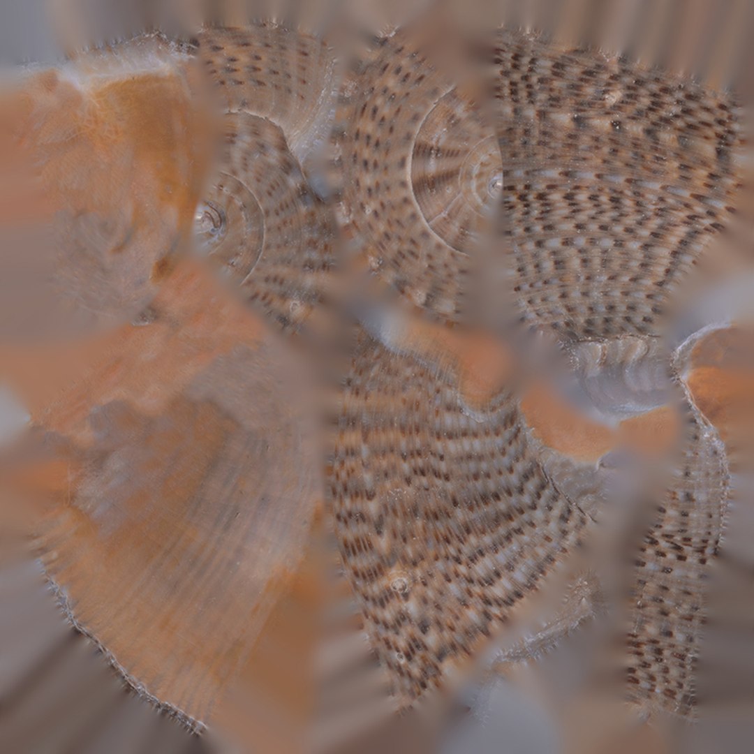 3D Anydrafts Sea snail 08 https://p.turbosquid.com/ts-thumb/SG/R45doF/2A/800x800/jpg/1733793437/1920x1080/fit_q87/dd20c105a789685102e7428fa19afa8d89f318c1/800x800.jpg