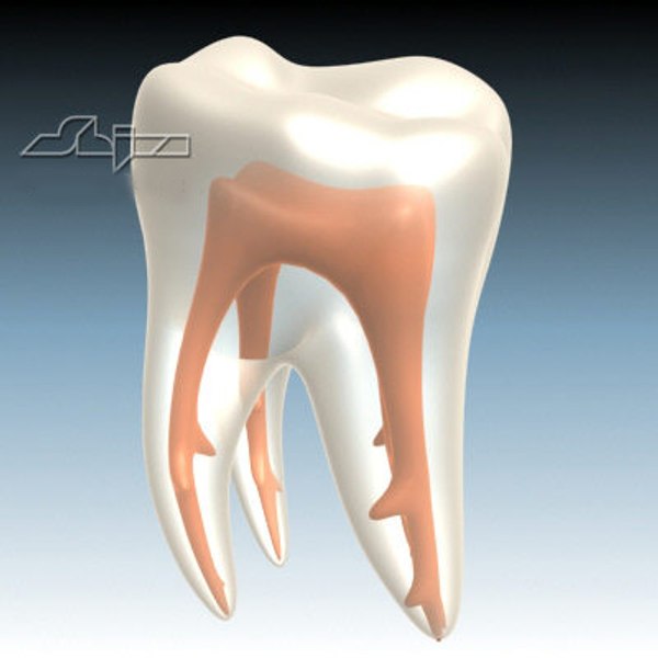 이 3D 모델 - TurboSquid 229748