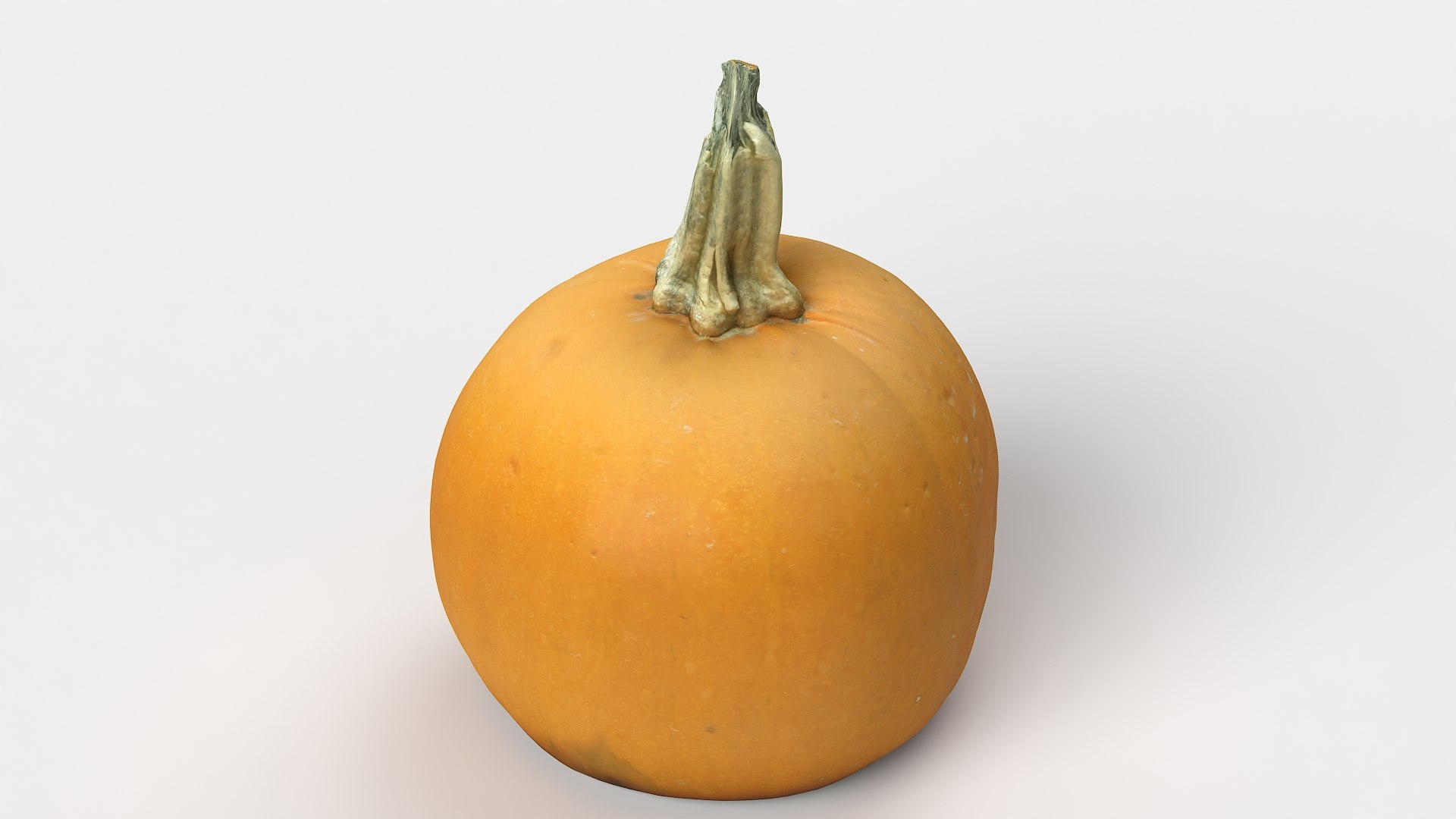 3D model Pumpkin 05 https://p.turbosquid.com/ts-thumb/SG/WjogiA/I6/pumpkin05_09/jpg/1667467931/1920x1080/fit_q87/310957a065d030bd24ed25c7cebcf7121e921886/pumpkin05_09.jpg