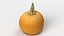 Pumpkin 05