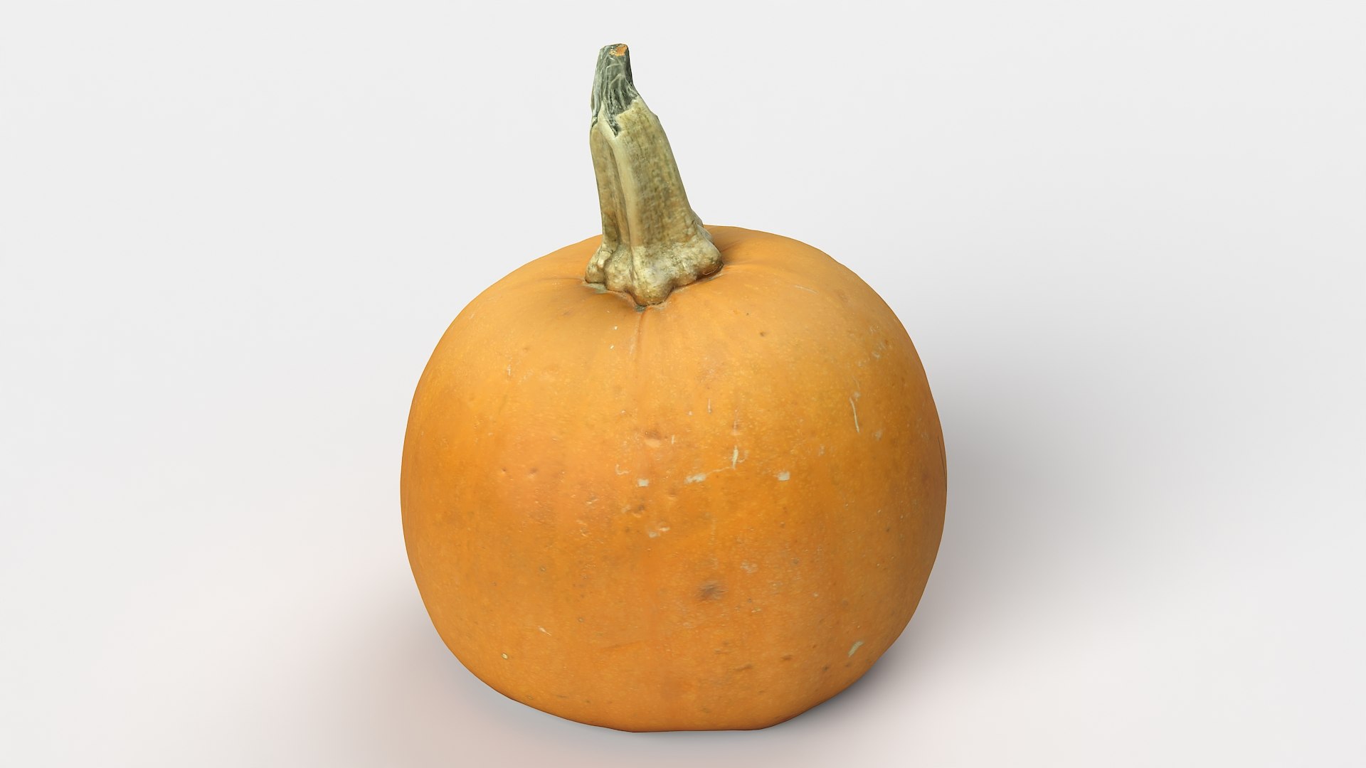 3D model Pumpkin 05 https://p.turbosquid.com/ts-thumb/SG/WjogiA/TW/pumpkin05_07/jpg/1667467928/1920x1080/fit_q87/0811c2ef0151a8ee24d2ee4e2190694094cde411/pumpkin05_07.jpg