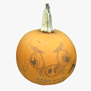 3D model Pumpkin 05