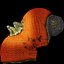 Pumpkin 05