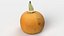 Pumpkin 05