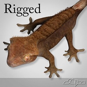 3d max gecko rhacodactylus lizard rigged biped